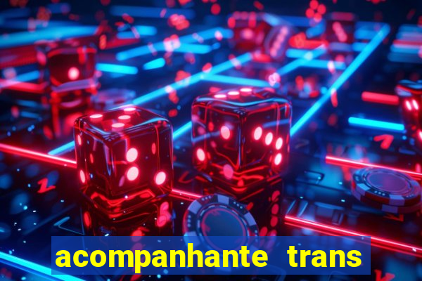 acompanhante trans porto seguro